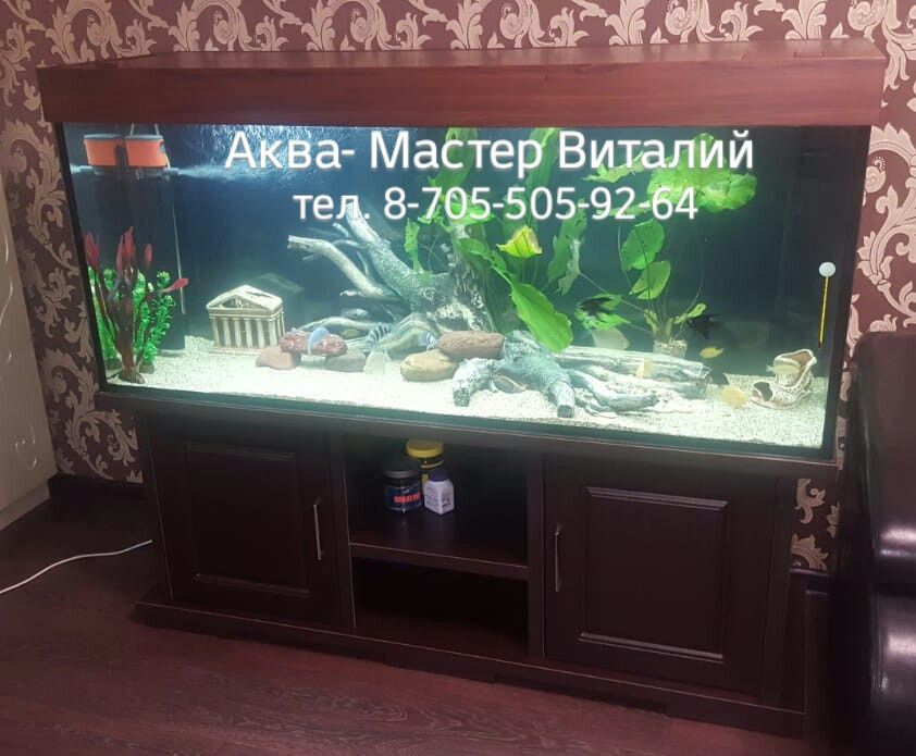 Новый аквариум 15 литров