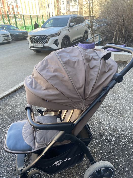 Коляска демисизон