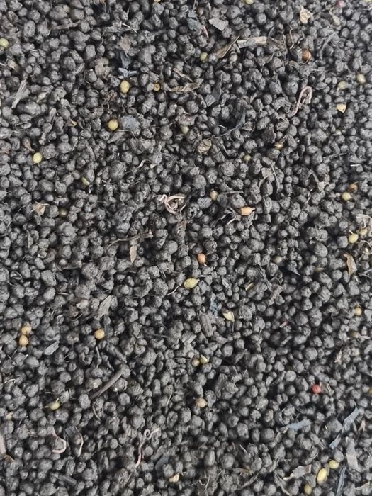 Коконы червя дендробена.