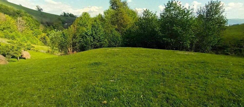 Căbănuta,teren și padure