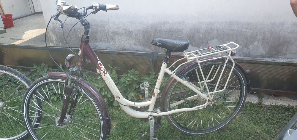 Biciclete de vânzare