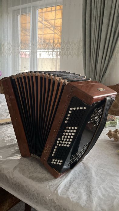 Баян, аккордион