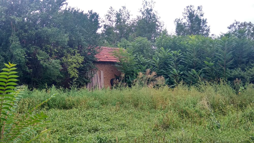 Продава се Къща в с. Громшин, Област Монтана - 150 кв.м за 99 €/кв.м - Снимка #6