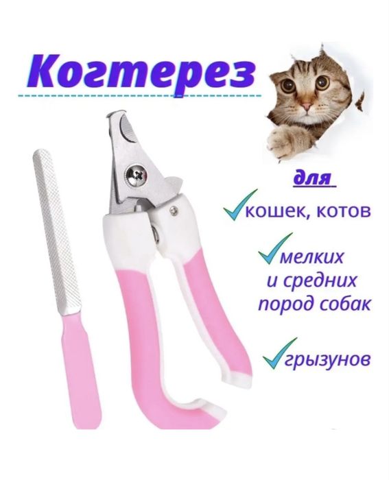 Отдам кошку в хорошие руки