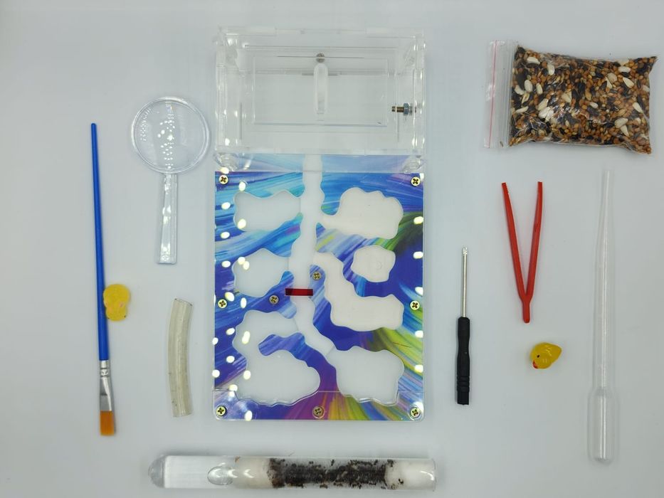 муравьиная ферма!!