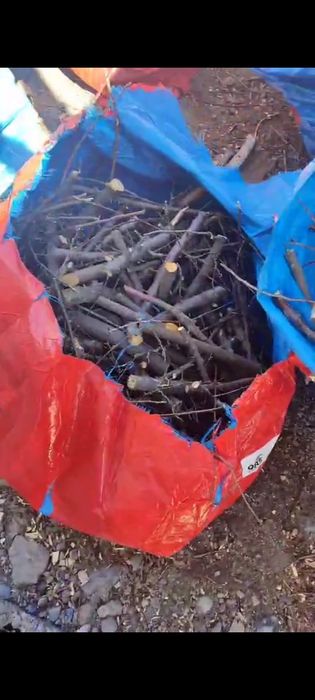 Река страпила ағаш шырпы тегін беремін