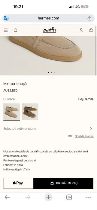 Hermes Mind Loafers