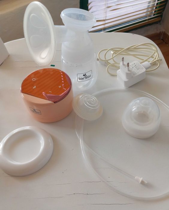 Електрическа помпа за кърма