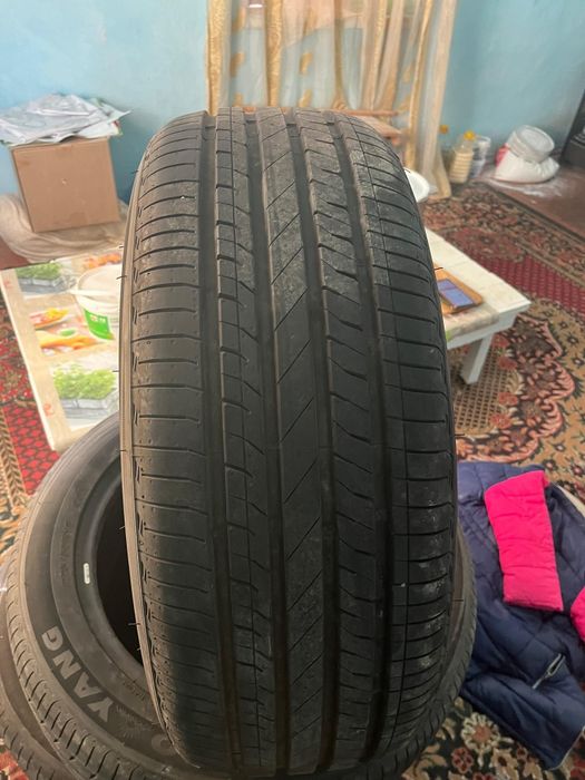 Авто шины 225/55/18