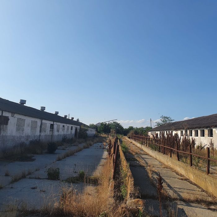 Ferma agricola,de vanzare