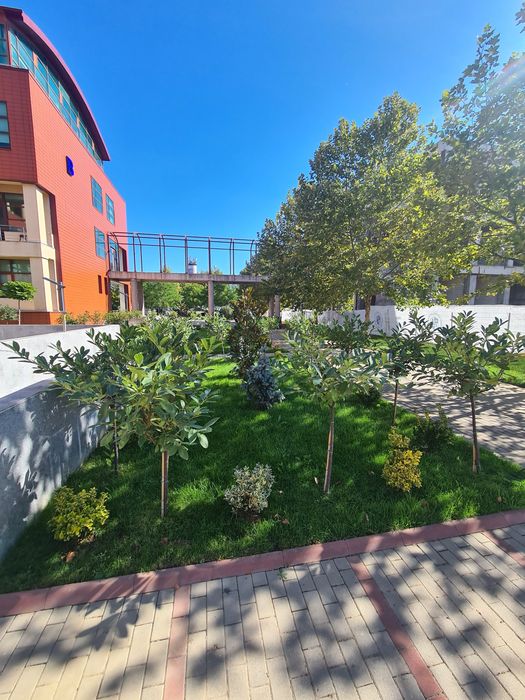 Amenajare Gradina - Gazon Rulouri - Iarba Verde - Peluza