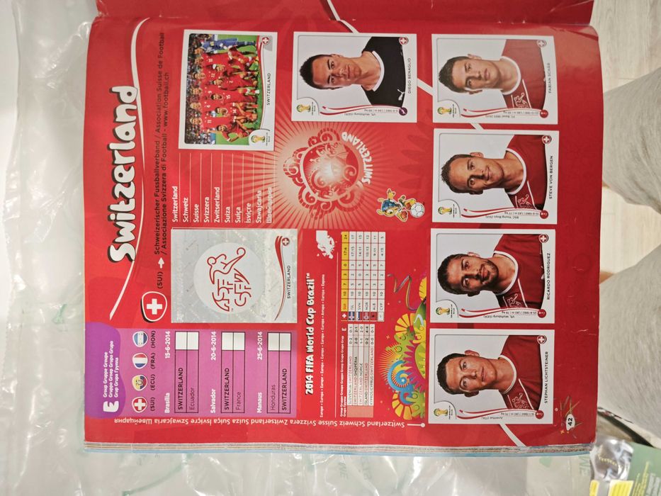 Album 2014 Panini