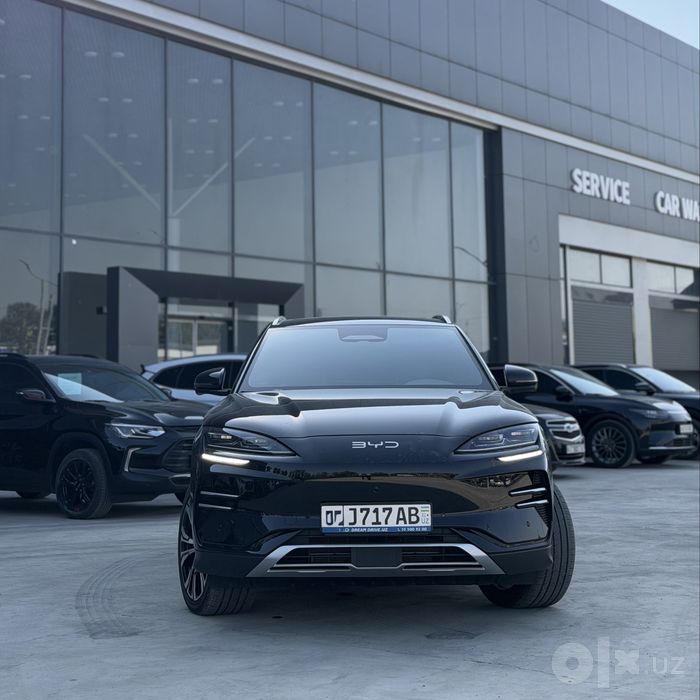 Byd champion smart
