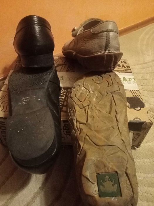 El Naturalista 37, Salamander 38, Fusta S.Oliver, 38