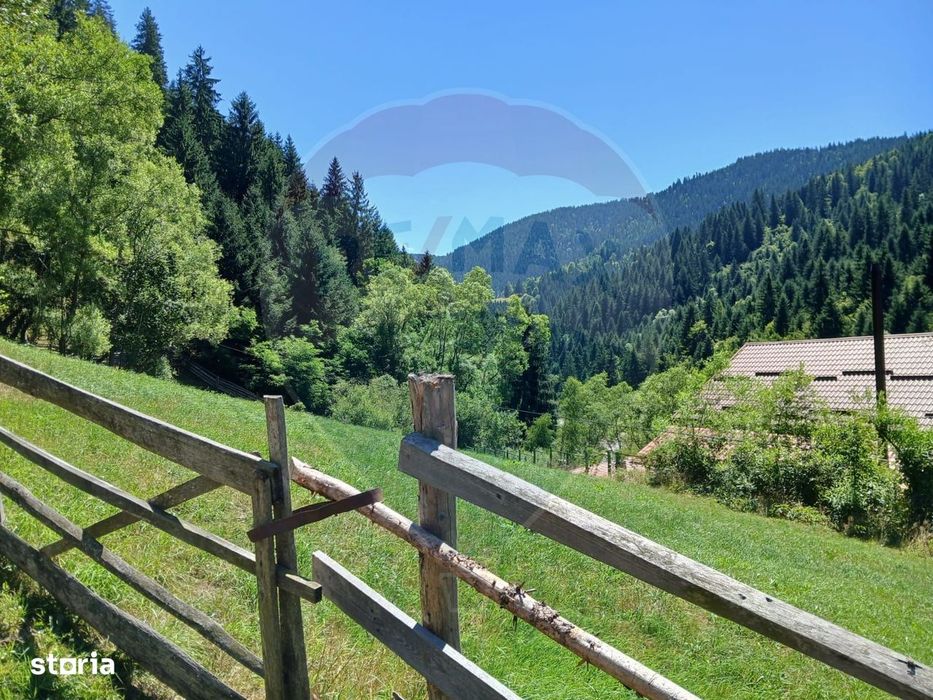 Teren intravilan 1349mp | Scarisoara | Oportunitate de Investiție
