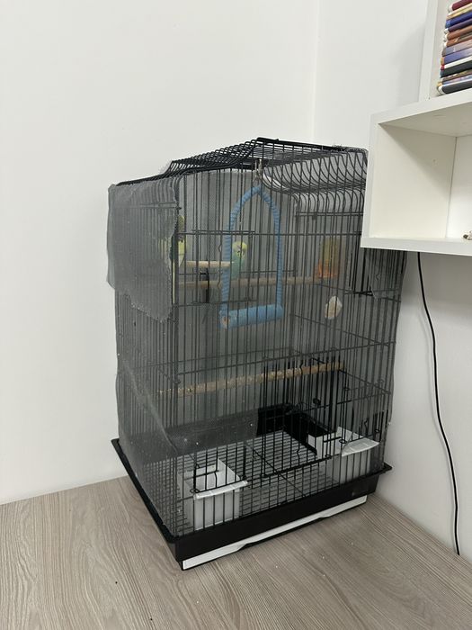 Продам попугаев с клеткой