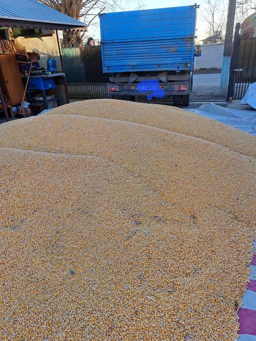 Agregate de balastieră