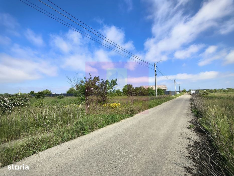Teren intravilan 1 Decembrie – loturi 600–720 mp + cotă drum Utilitati