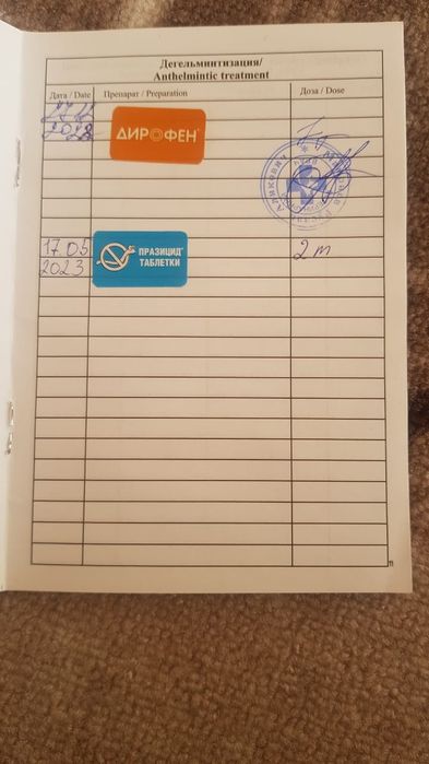 Американский стаффордшиский терьер