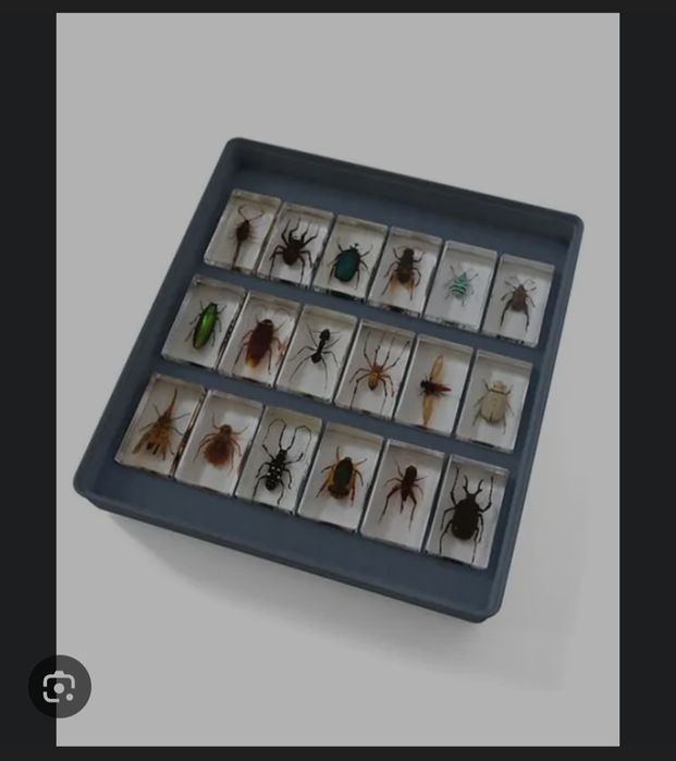 Продавам Буболечки