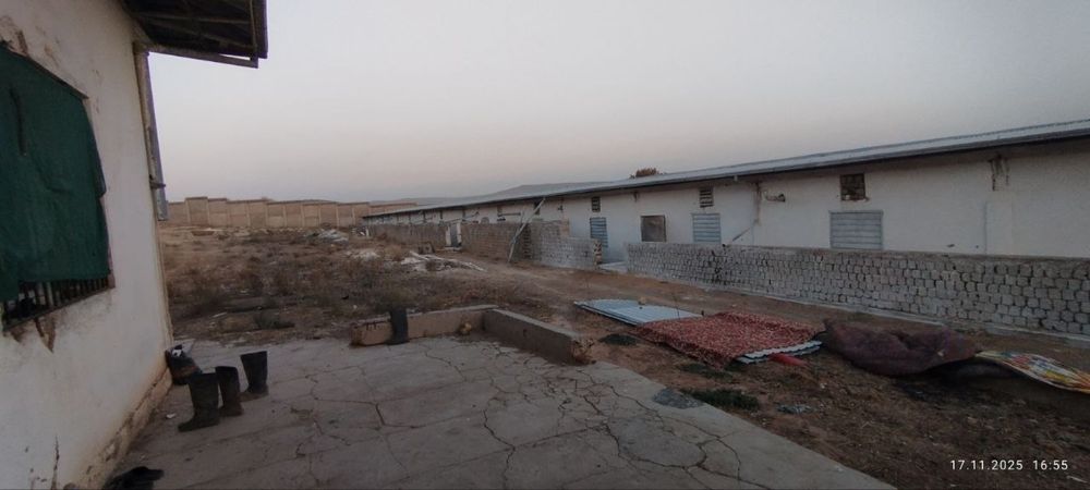 Продаётся фермерское хозяйство/ Ferma sotiladi