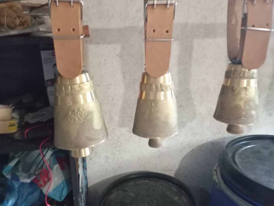 Чанове Звънци с каишки