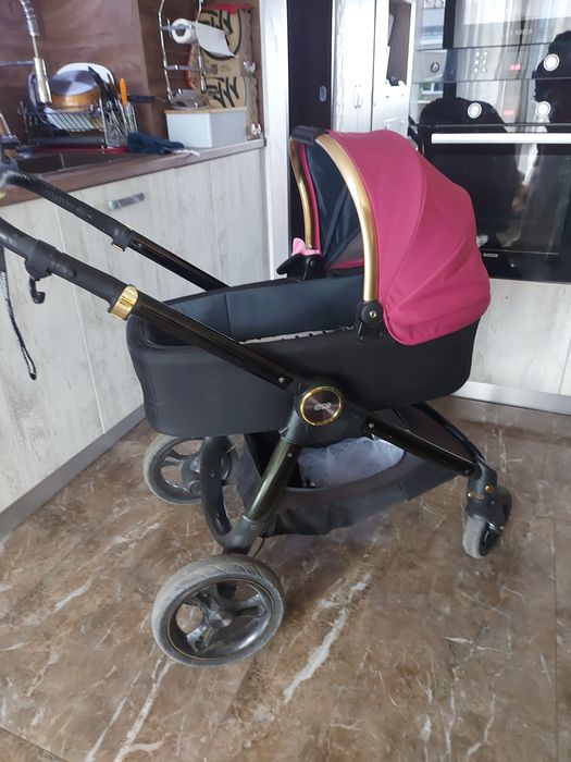 Mamas and papas ocarro