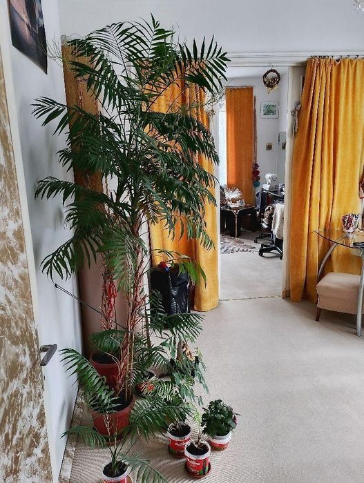 Продава се Двустаен апартамент в София, Център - 53 кв.м за 2695 €/кв.м - Снимка #4