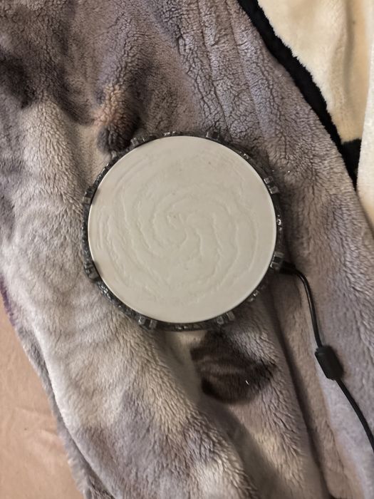 Portal wii skylander