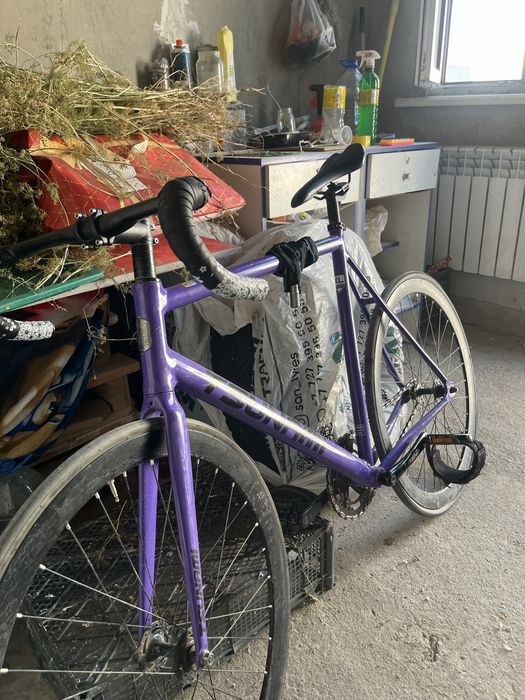 Fixedgear purple