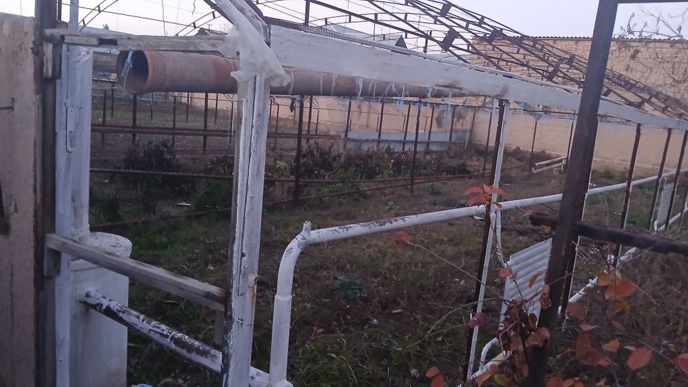 Issixona polizekinlari (sabzavotlar uchun) biznesmenlar uchun