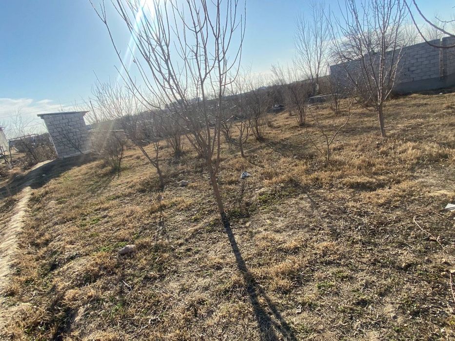 Srochna Arzanga Pul JudaKerak Termiz shaxrida 7so'tih Yer-joy sotiladi