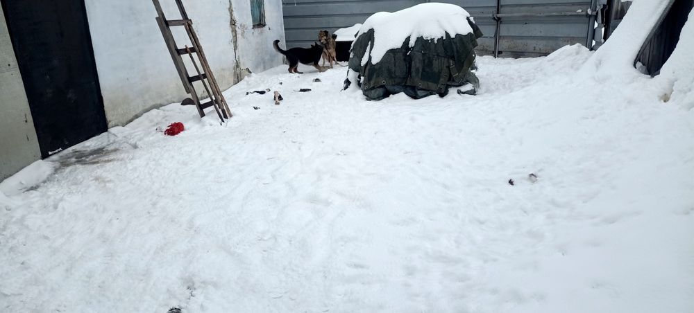 Продам действующий магазин.