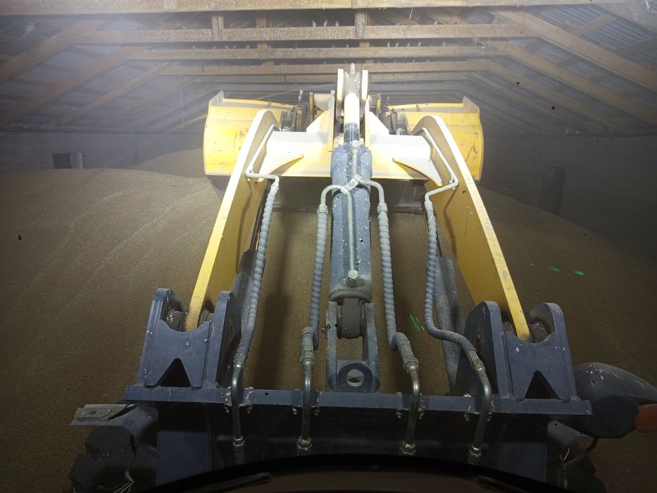 Продам пшеницу продам пшеницу