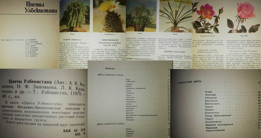 Книги : Грибы, Цветоводство, Ландшафтный дизайн, Садовый участок