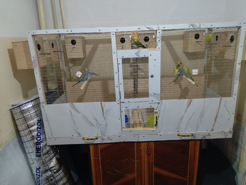 Qafas sotiladi 700.000 sum