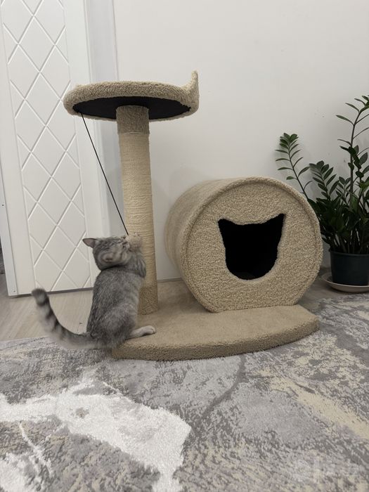 Домик для кошки!