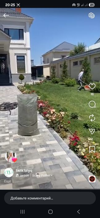 Газон орамыз. Шымкент