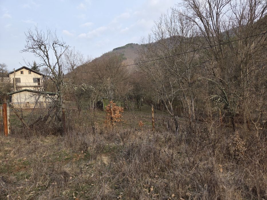 Почистване на парцели имоти дворове