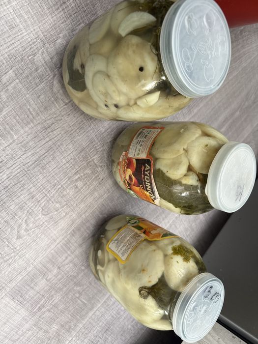 Продается  грибы ГРУЗДИ , Каркаралинский