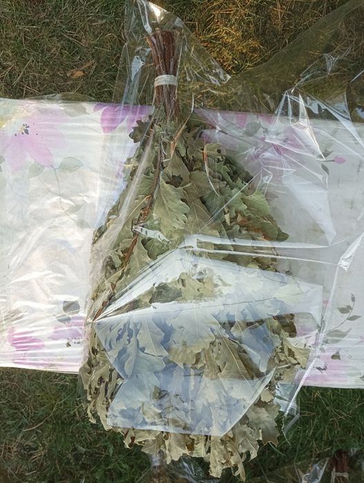 Дубовый банный веник свежий