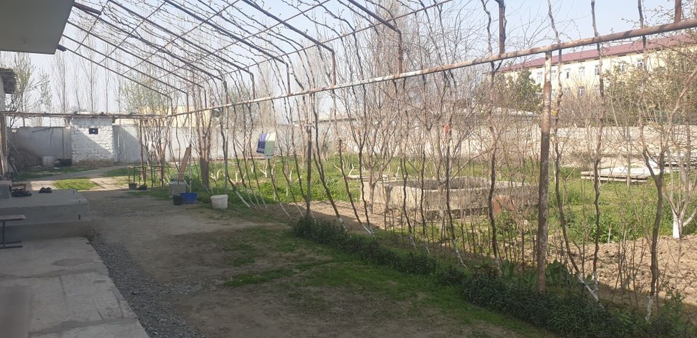 Shoshilinch ravishda Uy sotiladi 19 sotix