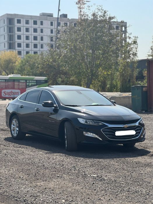 Premier malibu ideal