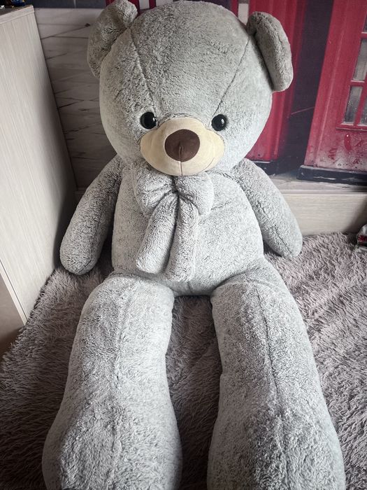 Отдам за шоколадку