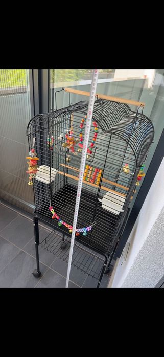 Colivie papagal noua