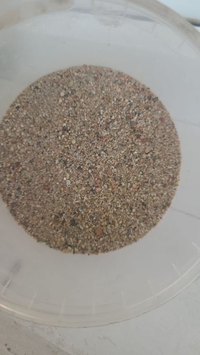 Чернозем плодородный