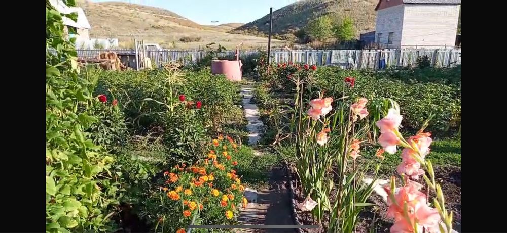 Продам дачу за Васильевкой