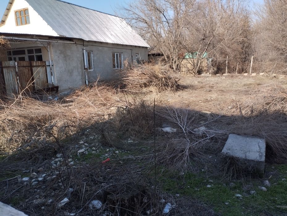 Сухие ветки бесплатно