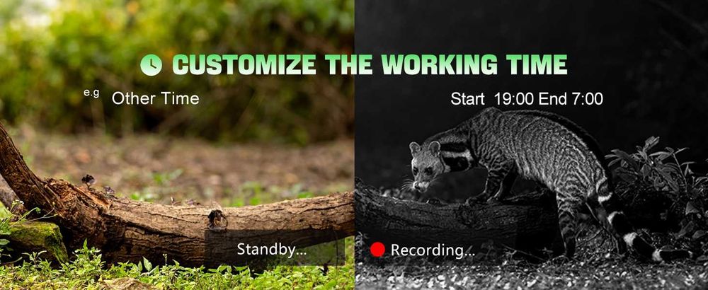 Ловна камера Coolifepro WiFi Bluetooth с приложение, 48MP + КАРТА 32GB