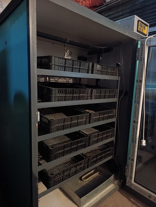 Продам инкубатор